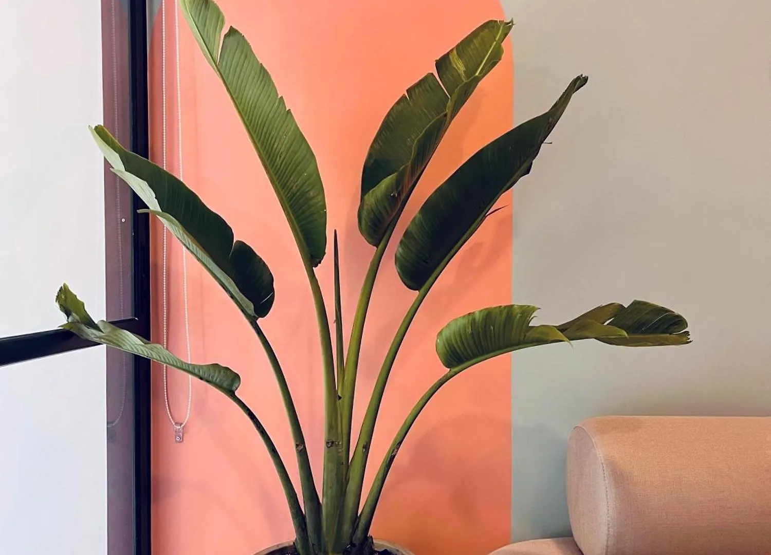 Hojarasca By Wynwood House Aparthotel Medellin 0*,  Colombia